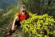 Monte Zucco (Direttissima / Sentiero Panoramico) da San Pellegrino Terme il 22 aprile 2016  - FOTOGALLERY